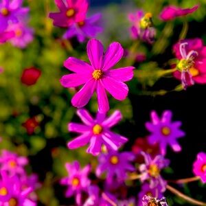 Meet your Posher, Kristi